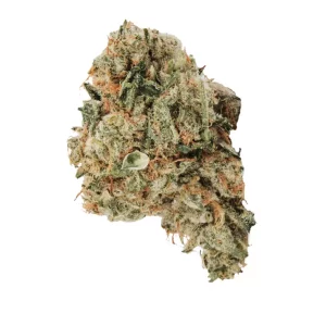 420 Evolution 30/1 CA ICC – Produktbild des Anbieters Bloomwell