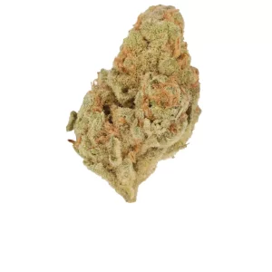 Cannamedical Indica Forte ZAF – Produktbild des Anbieters Bloomwell