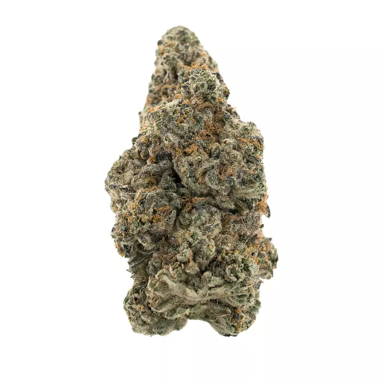 Demecan Core Cros 26:01 – Produktbild des Anbieters Bloomwell
