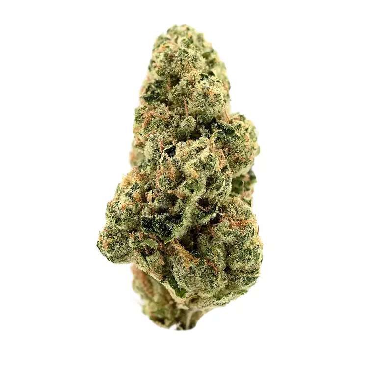 Demecan GT Epic Drop 30:01 – Smalls – Produktbild des Anbieters Bloomwell