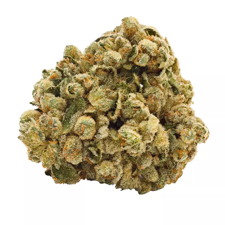Pedanios 29/1 SRD-CA – Produktbild des Anbieters Bloomwell
