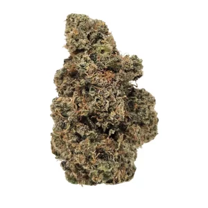 Drapalin 29/1 Cape Canaveral – Produktbild des Anbieters Bloomwell