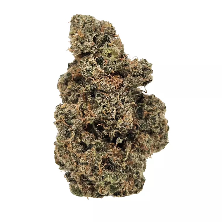 Drapalin 29/1 Cape Canaveral – Produktbild des Anbieters Bloomwell