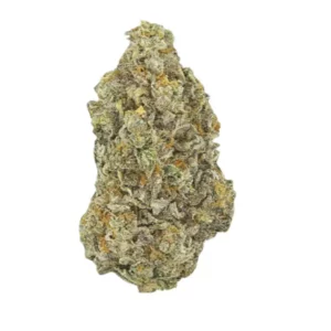 NICE 25/1 CRG – Produktbild des Anbieters Bloomwell