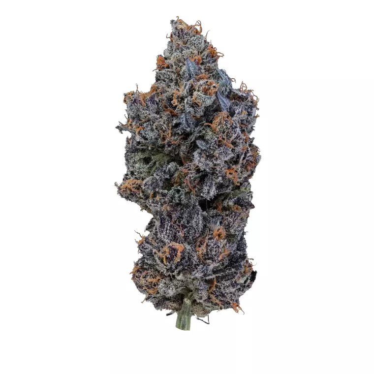 28/1 IUVO OC – Produktbild des Anbieters Bloomwell