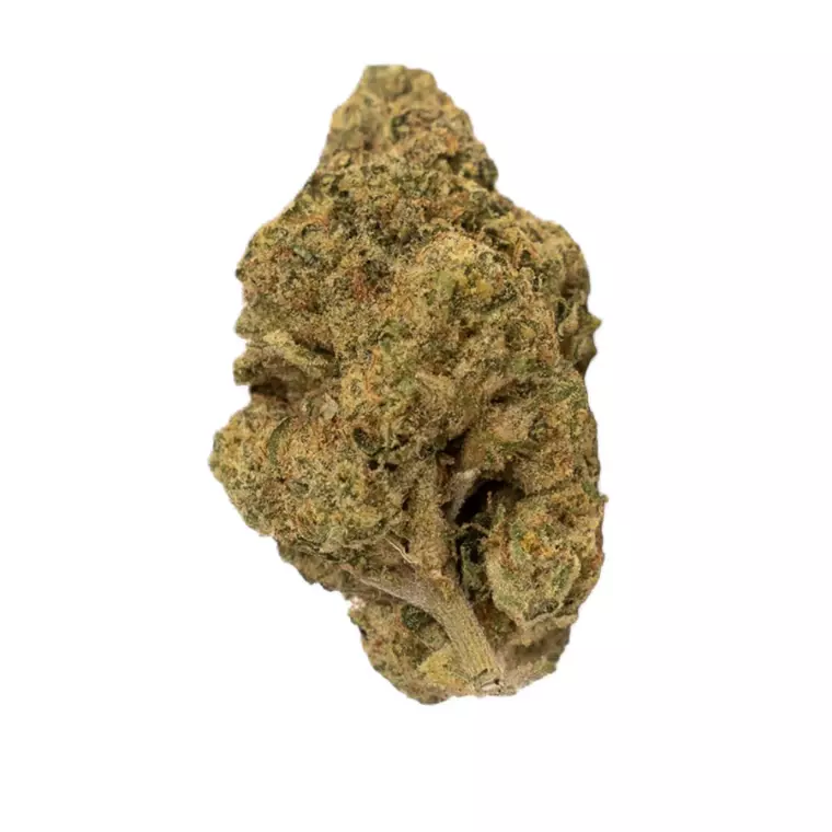 enua 27/1 CPC CA – Produktbild des Anbieters Bloomwell