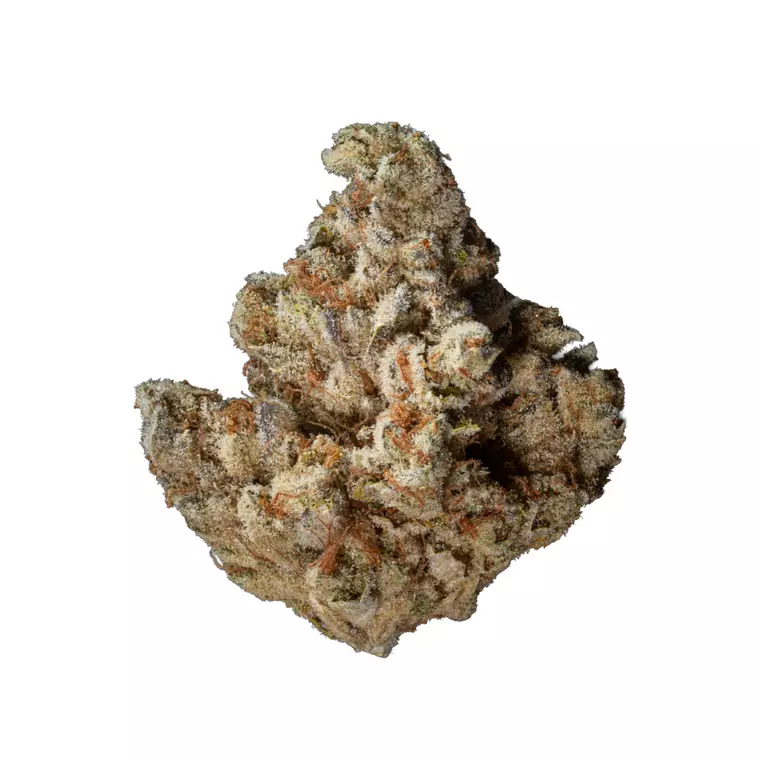 enua 27/1 E85 CA – Produktbild des Anbieters Bloomwell
