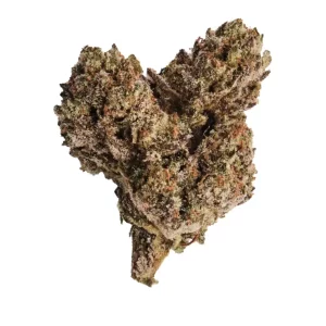 420 Compound 27/1 PT TGY – Produktbild des Anbieters Bloomwell