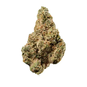 420 Evolution 27/1 CA SSK – Produktbild des Anbieters Bloomwell