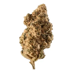 Huala 27/1 CA BDL – Produktbild des Anbieters Bloomwell