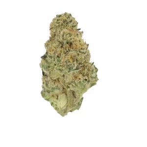 Cannamedical Sativa ultimate NM – Produktbild des Anbieters Bloomwell