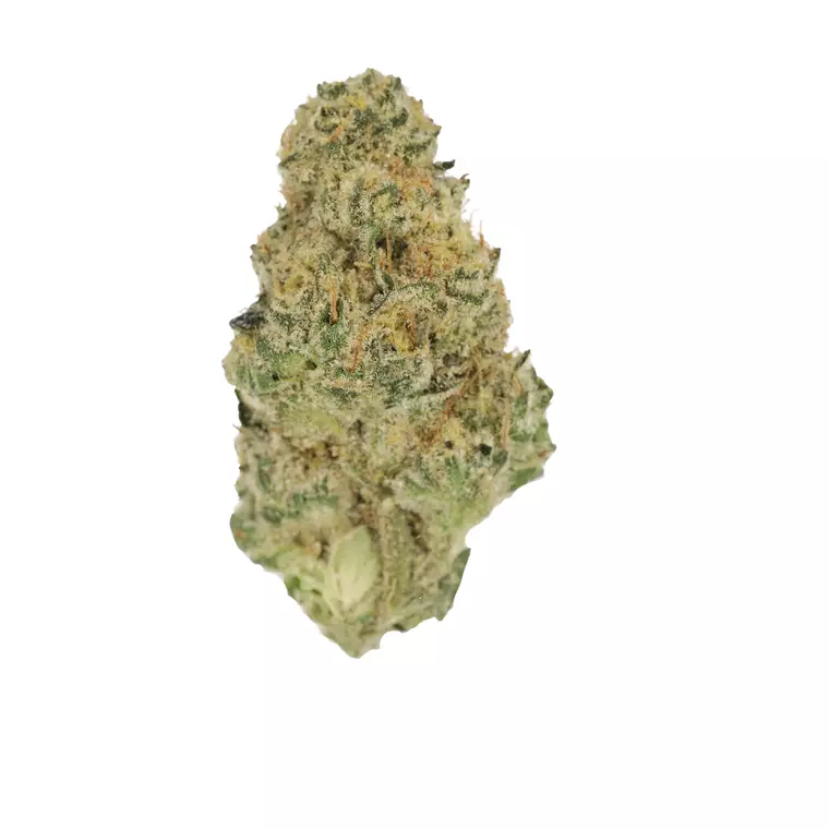 Cannamedical Sativa ultimate NM – Produktbild des Anbieters Bloomwell