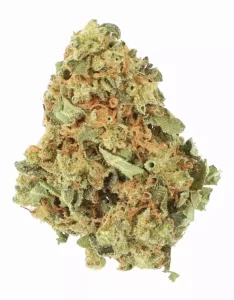 Cannamedical Hybrid Ultra DK 28/1 – Produktbild des Anbieters Bloomwell