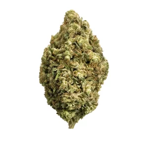 Supreme 22/1 OS – Produktbild des Anbieters Bloomwell