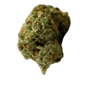 Weeco King Louis 25/1 DK – Produktbild des Anbieters Bloomwell