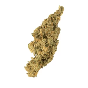 Avaay 31/1 SPC – Produktbild des Anbieters Bloomwell