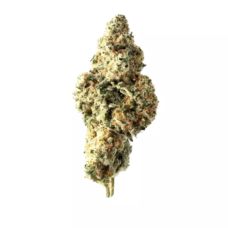 Demecan PS Strong Drop – Produktbild des Anbieters Bloomwell