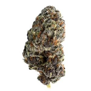 NICE 26/1 GP – Produktbild des Anbieters Bloomwell