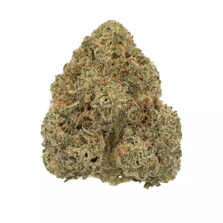 Cannamedical Indica Forte DK – Produktbild des Anbieters Bloomwell