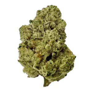 slouu 22/1 WCC CA – Produktbild des Anbieters Bloomwell