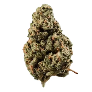 Huala 25/1 CA OCT – Produktbild des Anbieters Bloomwell