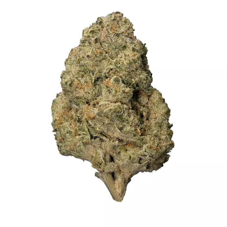enua 22/1 BCP CA – Produktbild des Anbieters Bloomwell