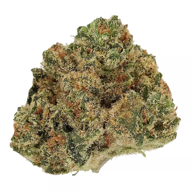 Cannamedical Indica Forte MA – Produktbild des Anbieters Bloomwell