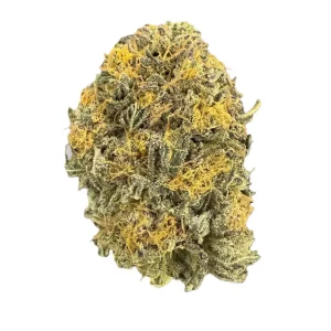 Supreme 20/1 MCH – Produktbild des Anbieters Bloomwell