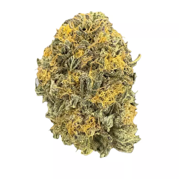 Supreme 20/1 MCH – Produktbild des Anbieters Bloomwell