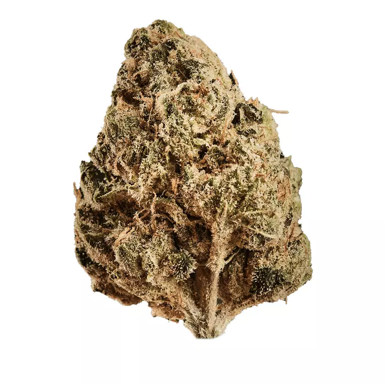HUALA 25/1 CA ALM – Produktbild des Anbieters Bloomwell
