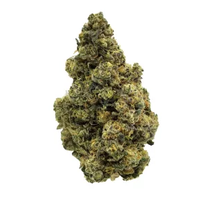 Avaay Signature 31/1 GOG – Produktbild des Anbieters Bloomwell