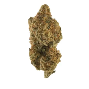 Cresco RSE 36/1 – Produktbild des Anbieters Bloomwell