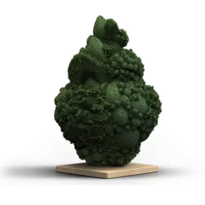 Cannamedical Hybrid forte KA – Produktbild des Anbieters Bloomwell