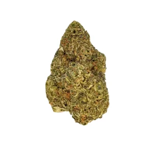 NICE 31/1 CSP – Produktbild des Anbieters Bloomwell