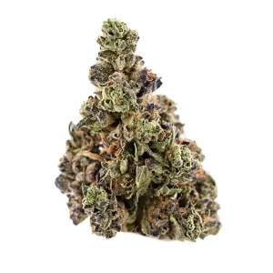 Demecan BB Regular Drop 25:01 – Produktbild des Anbieters Bloomwell