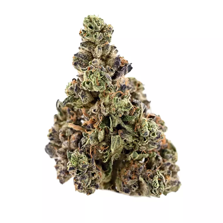 Demecan BB Regular Drop 25:01 – Produktbild des Anbieters Bloomwell