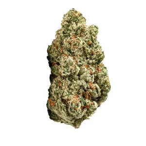 ZOIKS 31/1 SR – Produktbild des Anbieters Bloomwell