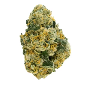 NICE 30/1 WPG – Produktbild des Anbieters Bloomwell