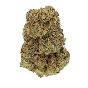 Luana Kush 24/1 – Produktbild des Anbieters Bloomwell
