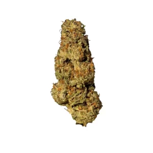 Nice 28/1 LPP – Produktbild des Anbieters Bloomwell