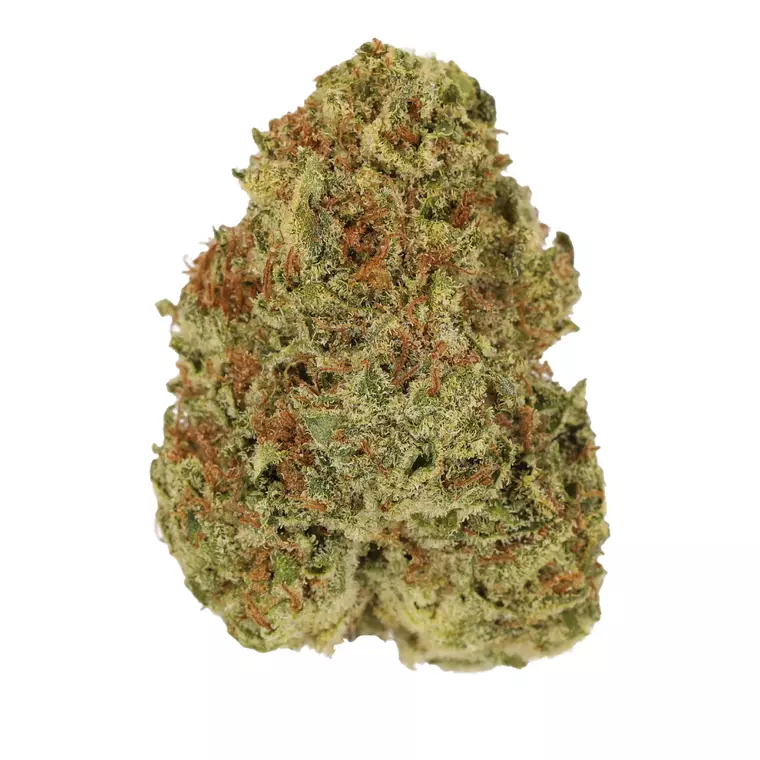 Luana 20/1 OG – Produktbild des Anbieters Bloomwell