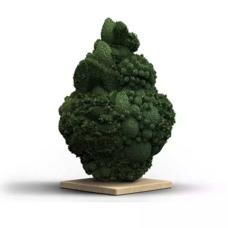 Canify 28/1 CSF Ku. – Produktbild des Anbieters Bloomwell
