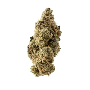 Demecan PS BOSS 22:01 DROP – Produktbild des Anbieters Bloomwell