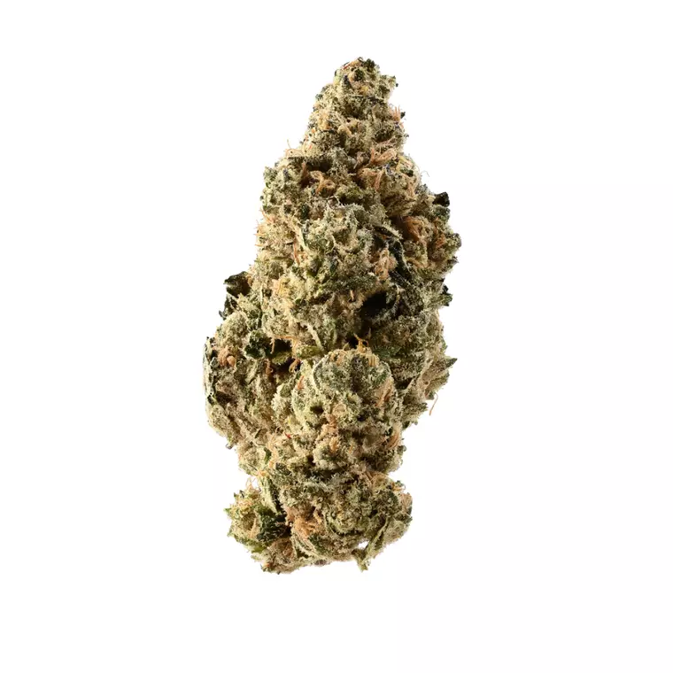 Demecan PS BOSS 22:01 DROP – Produktbild des Anbieters Bloomwell
