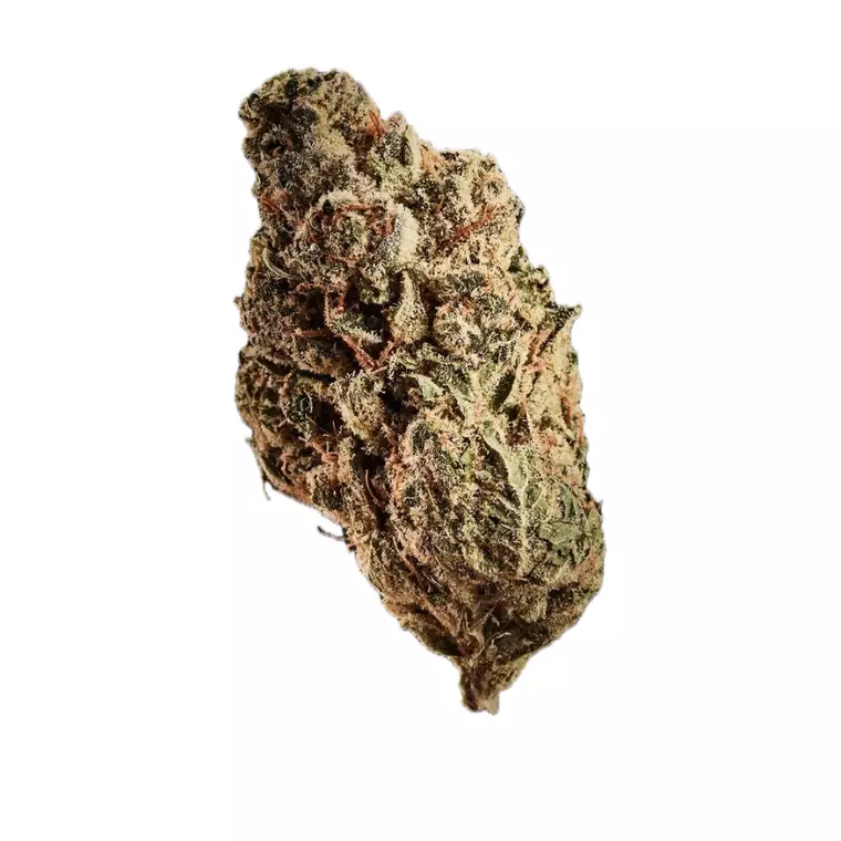 Huala 25/1 CA TRM – Produktbild des Anbieters Bloomwell