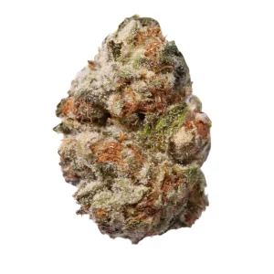 slouu 27/1 MC1 – Produktbild des Anbieters Bloomwell