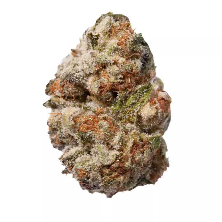 slouu 27/1 MC1 – Produktbild des Anbieters Bloomwell