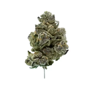 Tweed SRF 25/1 – Produktbild des Anbieters Bloomwell