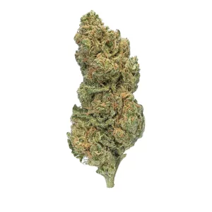 enua 27/1 GPP CA – Produktbild des Anbieters Bloomwell