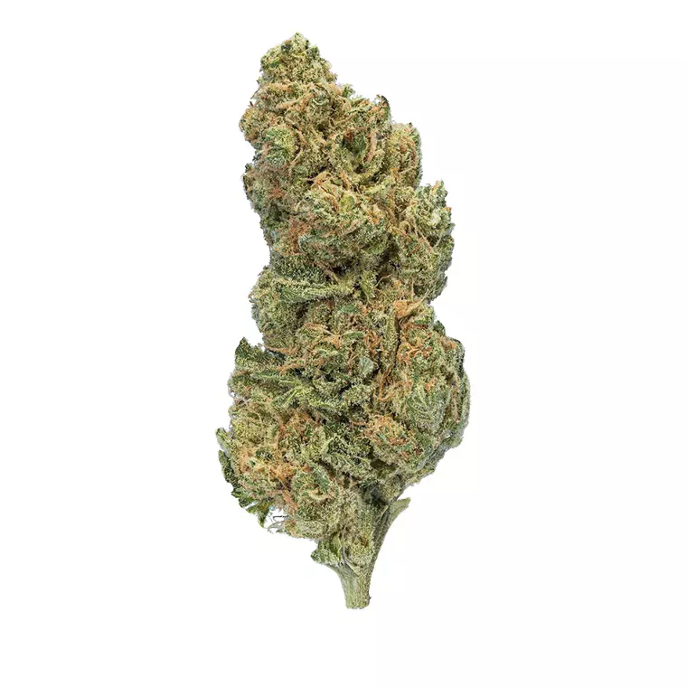 enua 27/1 GPP CA – Produktbild des Anbieters Bloomwell